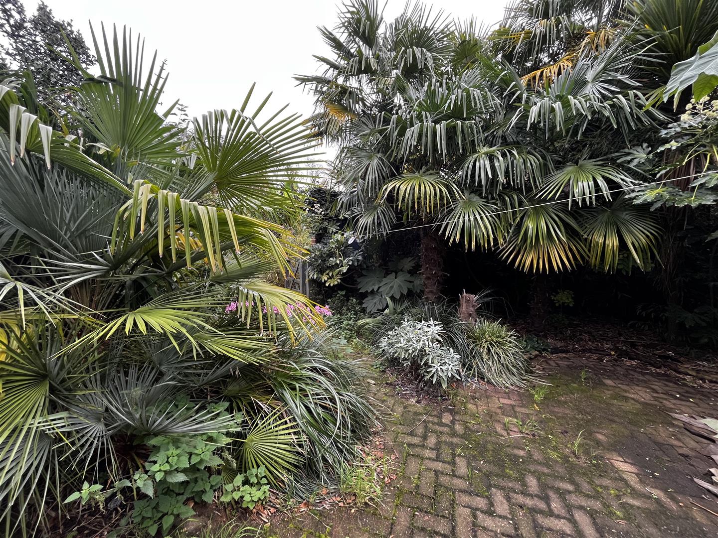 Yoxford, property photo